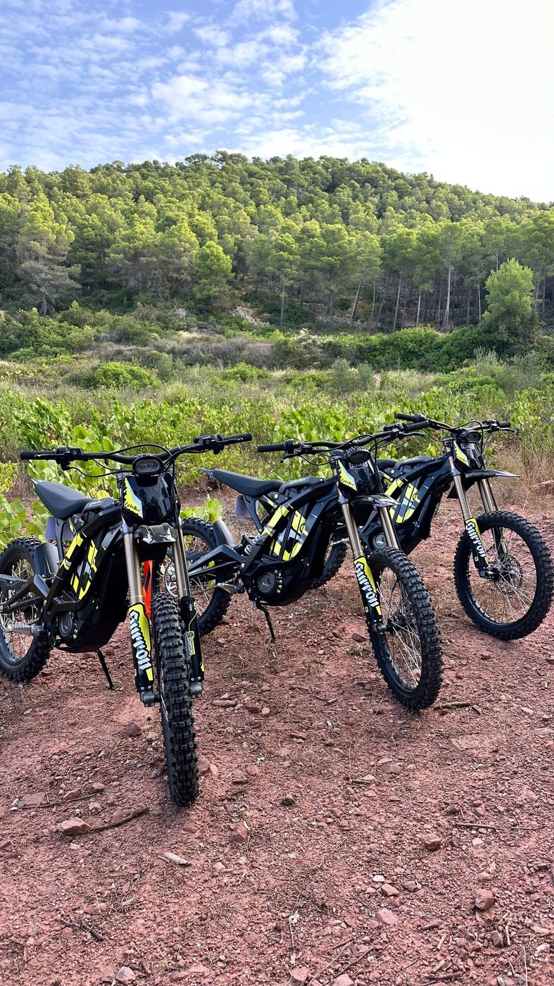 Three Surron Light Bee electric dirt bikes lined up on red earth, vines and pine forest behind
