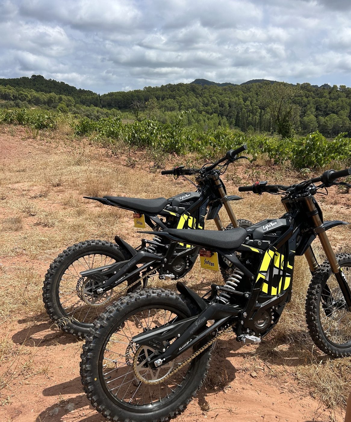 Two electric dirt bikes on a red earth track running between the vines